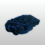 THE CLOUD NEST - Image 2