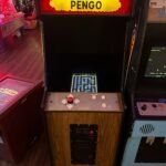 Pengo Arcade Game