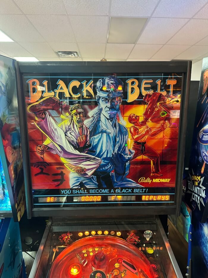 Bally Black Belt Pinball Machine - Image 13