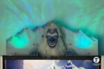 Yukon Yeti All In Package - Image 7
